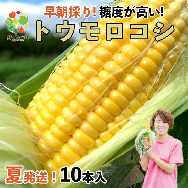 [令和6年産]早朝採りトウモロコシ10本セット ◆配送6月下旬〜7月頃