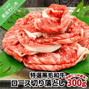 【ふるさと納税】 ふるさと納税 牛肉 切り落とし 【垣牧場】☆好評につき、復活！☆特選 黒毛和牛 ロース切り落とし 300g