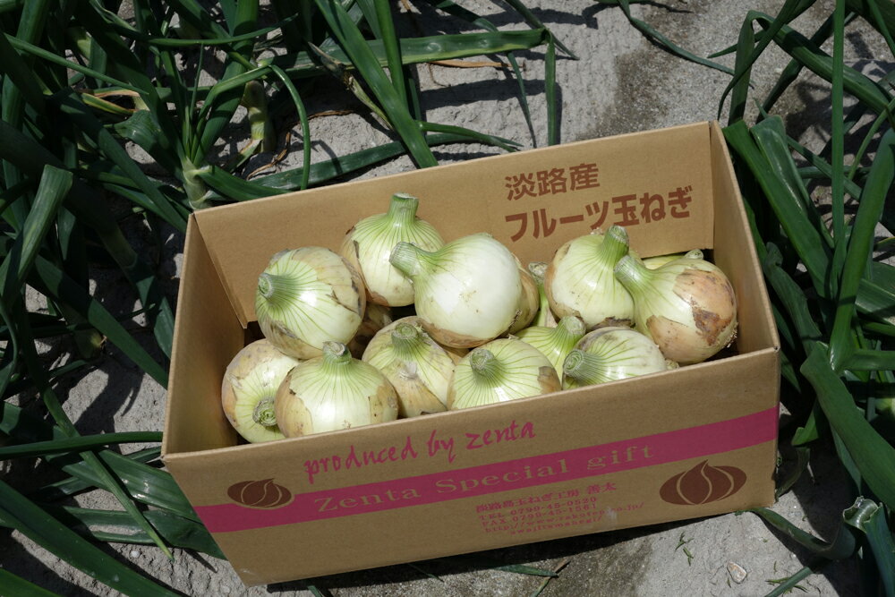 [新玉予約・サイズ色々] ふるさと納税 おすすめ 淡路島フルーツ玉ねぎ3kg