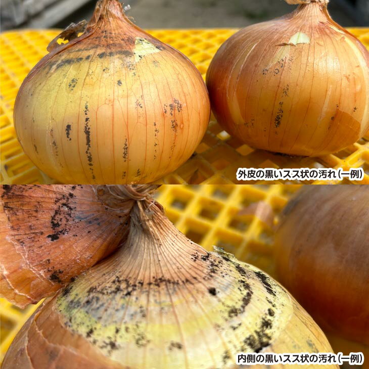 【ふるさと納税】【広瀬青果】たまねぎ島のまかない玉葱【訳あり】5kg 3000円 たまねぎ 玉ねぎ 玉葱 国産 野菜 オニオン サラダ スープ ハンバーグ カレー 淡路島 送料無料 スーパーセール お買い物マラソン 3000 ポッキリ 3000円ポッキリ 訳あり