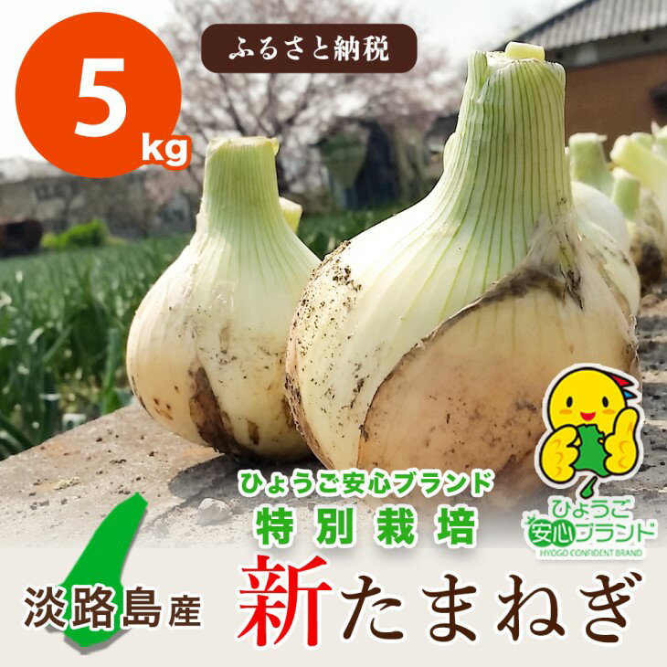 【ふるさと納税】【あさひサンファーム】【5kg】兵庫県認証★