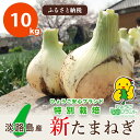 【ふるさと納税】【あさひサンファーム】【10kg】兵庫県認証