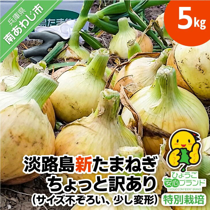 【ふるさと納税】【あさひサンファーム】【5kg】兵庫県認証★