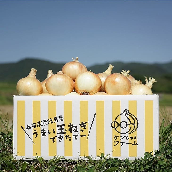 【ふるさと納税】【ケンちゃんファーム】＼うまい玉ねぎできたでー／特別栽培玉ねぎ10kg 〜ひょうご安心ブランド認証取得〜のサムネイル