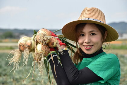 【ホリコファーム】 ★新玉予約★淡路島玉ねぎ とれたて完熟!! 新玉ちゃん 10kg☆ひょうご安心ブランド取得☆