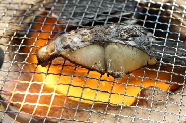 【ふるさと納税】【クボタ水産】三代目淡路島鮮魚セット(極)