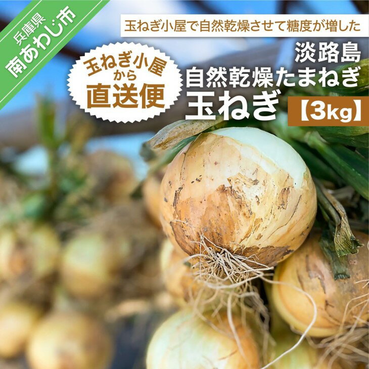 【ふるさと納税】淡路島自然乾燥たまねぎ【玉ねぎ小屋から直送便】玉ねぎ3Kg！のサムネイル