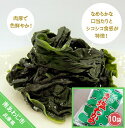 【ふるさと納税】塩わかめ 220g×10袋入り