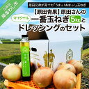 【ふるさと納税】原田さんの一番玉ねぎ（5kg）とオリジナルドレッシングのセット