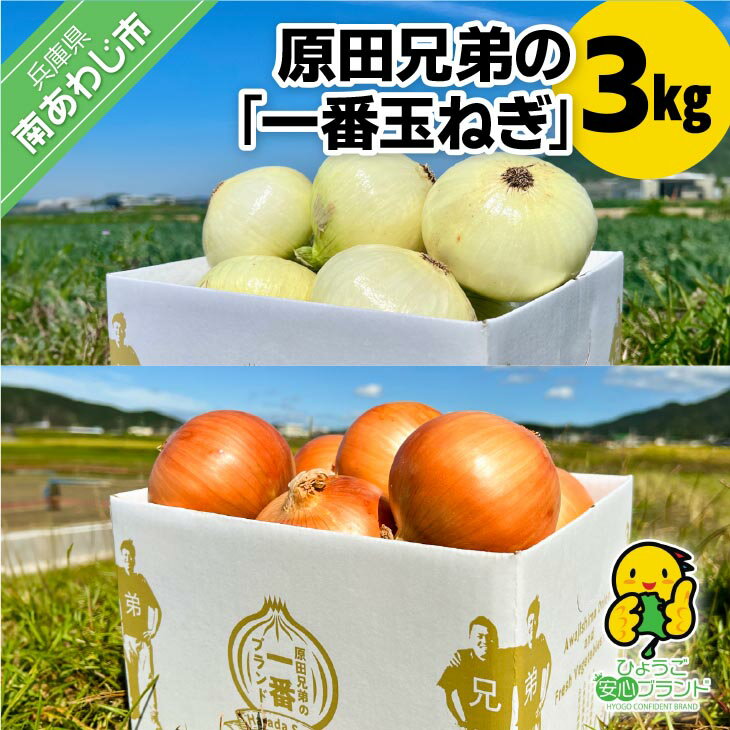 [原田青果]原田兄弟の一番玉ねぎ 3kg ふるさと納税 おすすめ