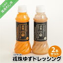 【ふるさと納税】【アクアヴェルデAWAJI】戎珠ゆずドレッシング(人参1本)・(ゴマ1本)セット