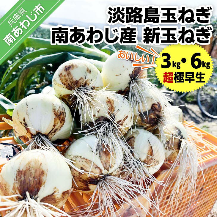 【量が選べる！新玉予約！】淡路島玉ねぎ 南あわじ産新玉ねぎ（超極早生） ◆配送2月〜
