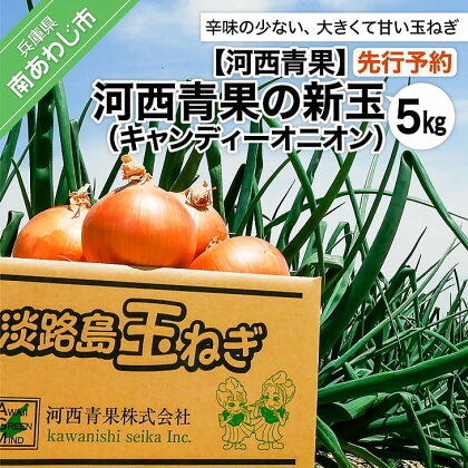 【先行予約】河西青果の新玉（キャンディーオニオン）5kg　◆配送5月初旬～6月末