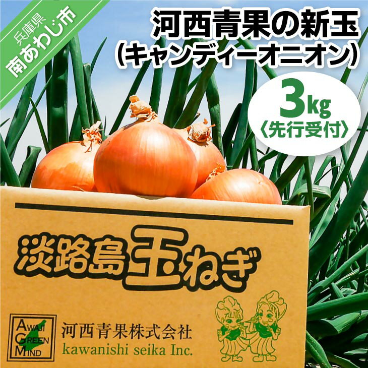 【ふるさと納税】【先行予約】河西青果の新玉（キャンディーオニオン）3kg　◆配送5月初旬～6月末