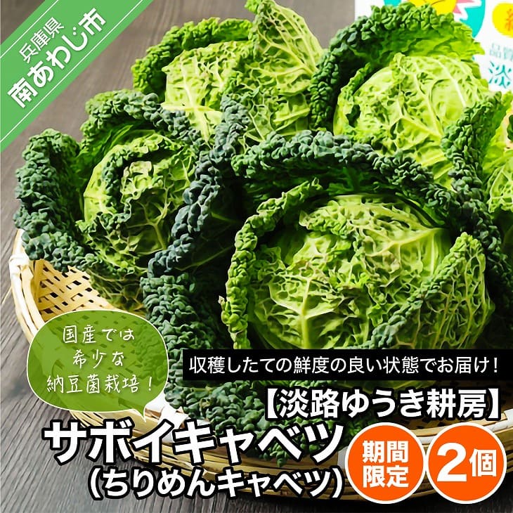 【ふるさと納税】【淡路ゆうき耕房】国産では希少な納豆菌栽培！【期間限定】サボイキャベツ（ちりめんキャベツ）2個のサムネイル