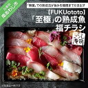 長期不在、転居等でお受け取りいただけない場合、再送はいたしかねます。 熟成させたお魚を食されたことはありますか？ 旨みを極限まで引き出した「熟成魚」は、新鮮なお魚とはまた違った、深く、複雑な味わいです。 お魚自身の酵素を利用した「無菌」での熟成法を取り入れておりますので、安心してお召し上がりいただけます。 どうぞ、魚本来の「至極」のお味を、ご家庭でご堪能ください。 丁寧な下処理から、約10日以上熟成させた「至極」の熟成魚を散りばめたちらし寿司です。 4〜6種の魚が入ります。(その時季おすすめの魚を厳選し、お作りします。) 熟成にかかせない脱水時には、淡路島で作られた釜炊き塩を使用し、食味に更なる奥行きが付与されています。 ◆季節により野菜、魚種が変わります。 見た目にも美しい鮮やかな福チラシをお楽しみください。 ※お礼の品・配送に関するお問い合わせは 淡路島熟成魚屋　FUKUototo（電話：0799-53-6233）までお願いします。 製品仕様 名称 【FUKUototo】「至極」の熟成魚 福チラシ 内容量 ちらし寿司一人前※マダイ・カンパチ・ブリ・シマアジ・ヒラメ・マグロの中から3種以上その他、サクラマス・サヨリ・サワラ・ハモ・フグ等、季節のおすすめの魚が入ります。 消費期限 発送日から3日間※「熟成魚」の美味しさを味わっていただくため、なるべくお早めにお召し上がりください。※冷えすぎると味わいが損なわれるので、野菜室での保存をお薦めします。 配送・その他 ※必ず配送日を指定してください。※1日10セット限定のため、配送日のご希望に沿えない場合があります。予めご了承ください。その場合は、別途連絡し、日程調整をさせていただきます。 ※ご贈答用で熨斗など必要な場合は備考欄にご記入ください。 発送方法 冷蔵 販売者 淡路島熟成魚屋　FUKUototo0799-53-6233