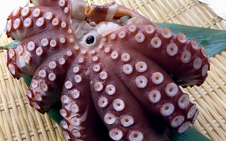 【ふるさと納税】【花光】タコ好きさん必見！淡路の島ダコ釜揚げ（小サイズ丸ごと1杯）【旨さそのまま♪期間限定フレッシュ冷蔵便】