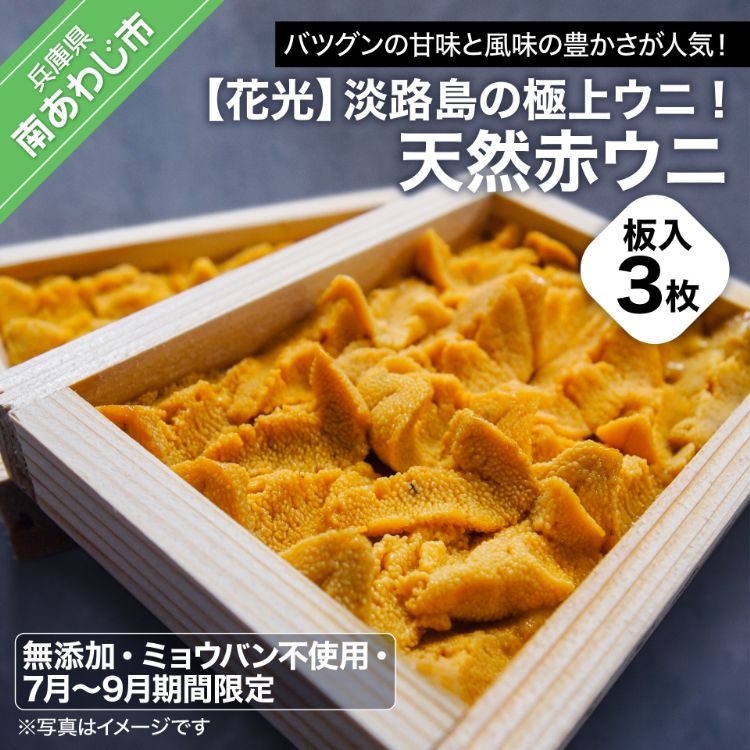 【ふるさと納税】【花光】淡路島の極上ウニ!天然赤ウニ(板入3枚)【無添加・ミョウバン不使用・7月~9月期間限定】