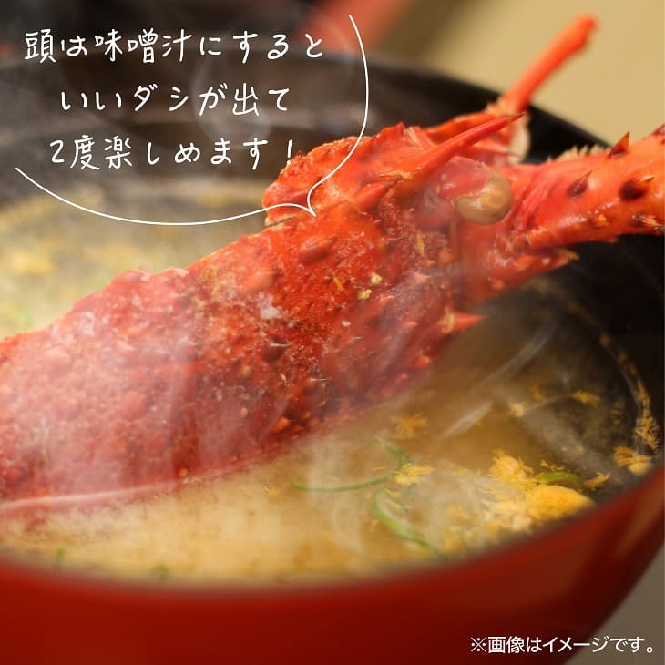 【ふるさと納税】【年末年始配送日指定可】【花光】海老の王様！天然イセエビボイル（中2尾～3尾）【受取も安心♪冷凍便】