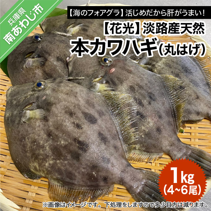 【ふるさと納税】【花光】淡路産天然本カワハギ（丸はげ）1kgのサムネイル