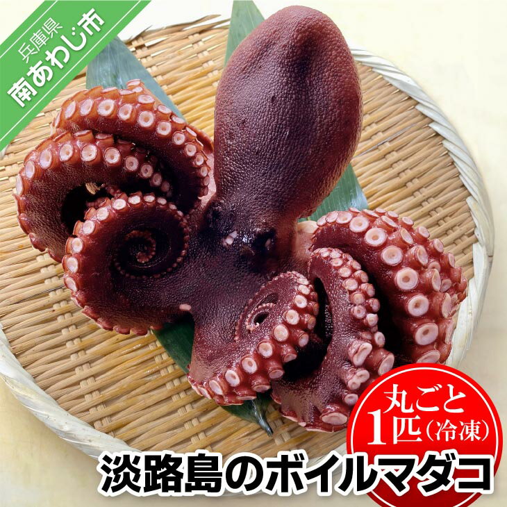 【ふるさと納税】【花光】淡路島のボイルマダコ（丸ごと1匹）【冷凍】