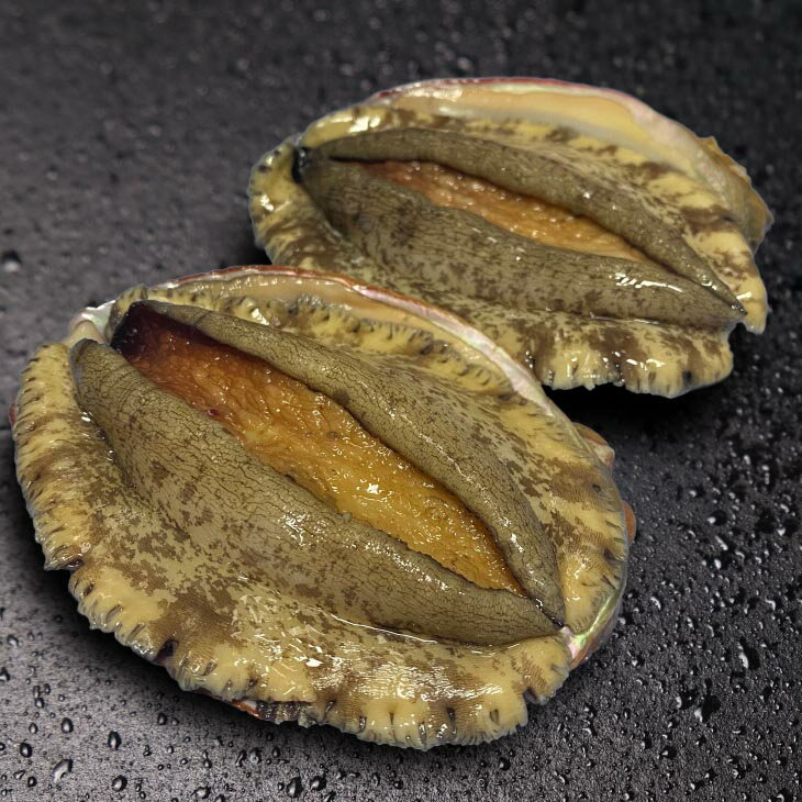 【ふるさと納税】 ふるさと納税 bbq 【花光】淡路島産天然アワビ（赤）大サイズ2個