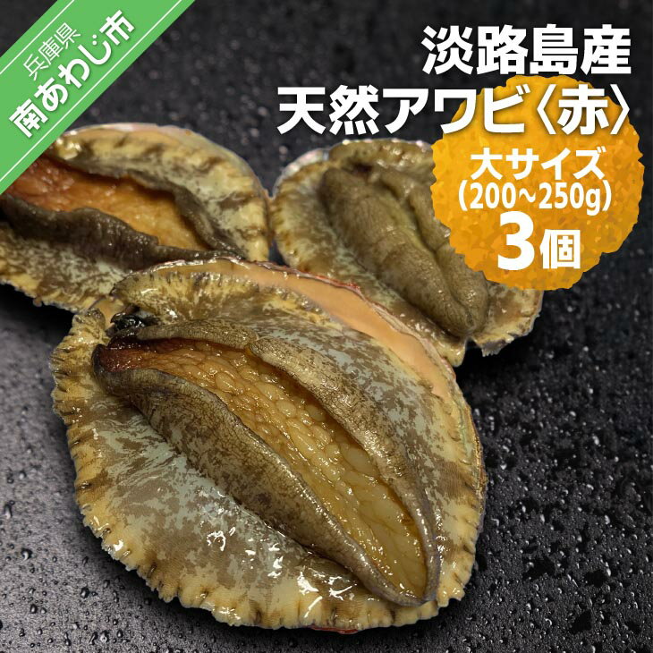 【ふるさと納税】 ふるさと納税 bbq 【花光】淡路島産天然アワビ（赤）大サイズ3個のサムネイル