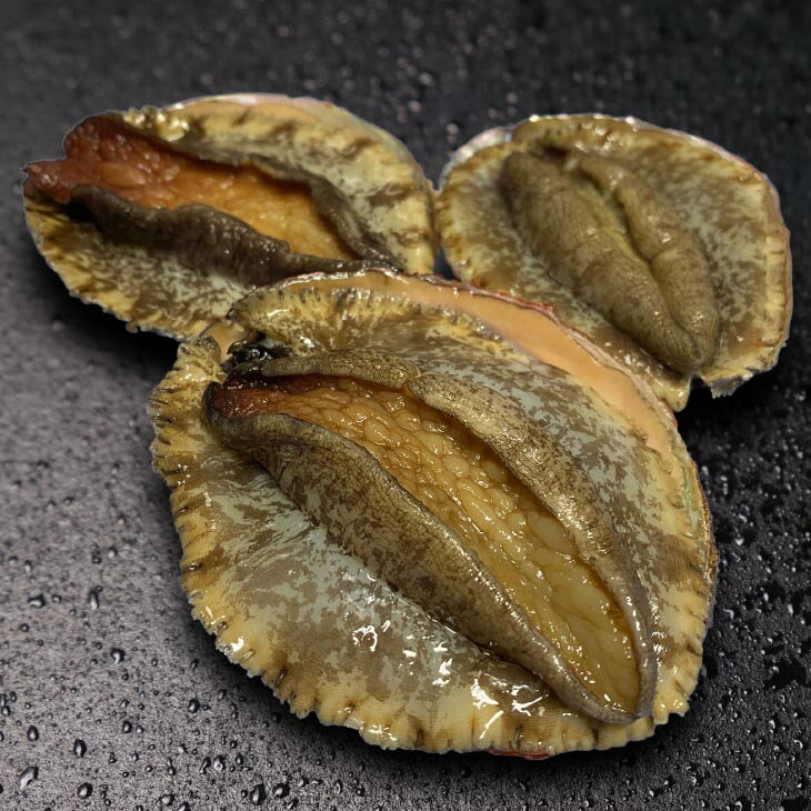 【ふるさと納税】 ふるさと納税 bbq 【花光】淡路島産天然アワビ（赤）大サイズ3個