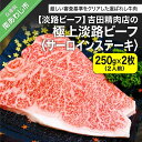 【ふるさと納税】【淡路ビーフ】吉田精肉店の極上淡路ビーフ　サーロインステーキ500g（約250g×2枚）（2人前）（冷凍）