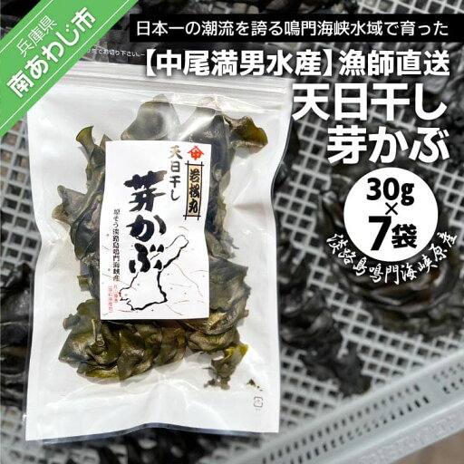 【ふるさと納税】【中尾満男水産】【漁師直送】天日干しめかぶ30g×7袋【淡路島鳴門海峡原産】 【ふるさと納税】【中尾満男水産】【漁師直送】天日干しめかぶ30g×7袋【淡路島鳴門海峡原産】