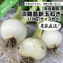 長期不在、転居等でお受け取りいただけない場合、再送はいたしかねます。 ご覧いただきありがとうございます。淡路島の温暖な気候と肥沃な土で育った玉ねぎです。 奈良農園の玉ねぎは甘味と旨味のバランスよく、サラダはもちろん、加熱すると驚くような甘味が出ます。 春しか食べられないみずみずしい新玉ねぎをどうぞご賞味ください。 どんな料理にも相性抜群です。 《保存方法》風通しの良い涼しいところ、又は冷蔵庫。玉ねぎは休眠しているのでビニールなどで密閉しないでください。 ※お礼の品・配送に関するお問い合わせは 奈良農園　代表奈良 祥午郎　(電話090‐1914-0631)までお願いします。 製品仕様 名称 農家直送！【奈良農園】淡路島新玉ねぎ ≪10kgサイズ色々≫ 内容量 《重さ》約10kg （30〜40個）《サイズ》M〜2L混合※時期により大小の偏りが出る場合がございます。 消費期限 配送より約2週間 アレルギー表記 なし 発送方法 常温 販売者 奈良農園　代表 奈良祥午郎090‐1914-0631