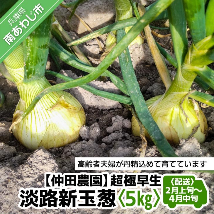 【ふるさと納税】【新玉予約！】超極早生新玉葱「福寿玉ねぎ」5kg◆配送2月上旬〜4月中旬