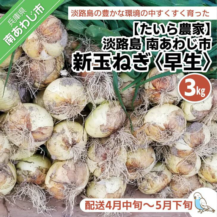 【ふるさと納税】新玉ねぎ　淡路島　南あわじ市　3kg　早生　