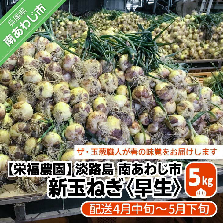 【ふるさと納税】新玉ねぎ　淡路島　南あわじ市　5kg　早生　◆配送4月中旬～5月下旬のサムネイル