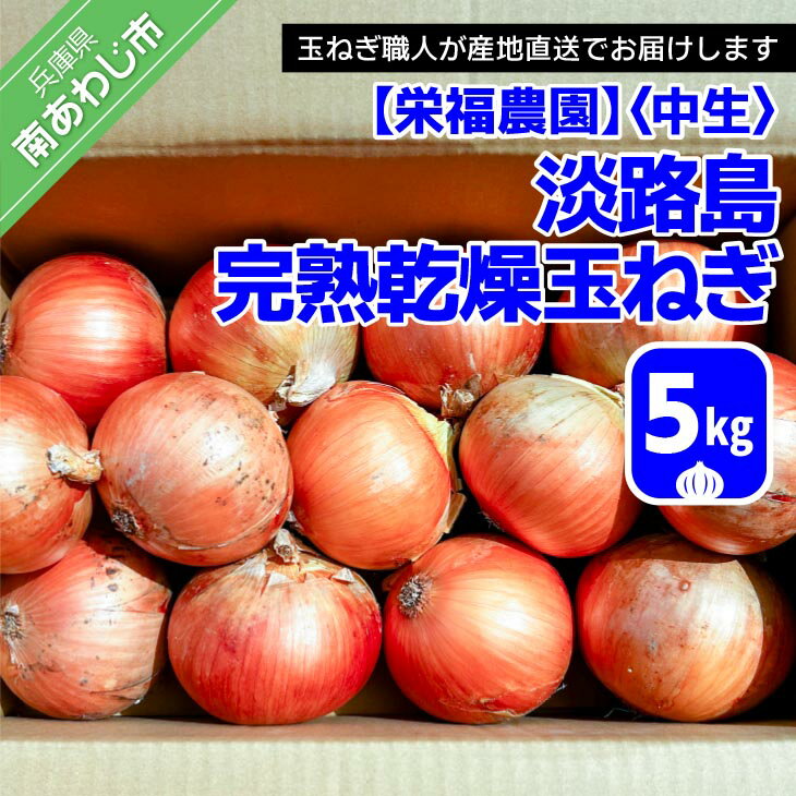 【ふるさと納税】完熟乾燥玉ねぎ〈中生〉5kg◆配送7月中旬～