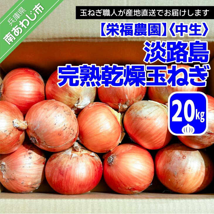 【ふるさと納税】完熟乾燥玉ねぎ〈中生〉20kg◆配送7月中旬～