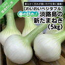 長期不在、転居等でお受け取りいただけない場合、再送はいたしかねます。 柔らかくて甘みがトップクラスの淡路島の新玉ねぎです！　 辛みが少なく、生で召し上がっていただくには最適の玉ねぎで病みつきになること間違いなし！ また炒めたり煮ることで甘さが増します！とても柔らかい玉ねぎですのでカレーや肉じゃがといった煮込み料理にすると、溶けてなくなっちゃいます（甘みと旨味はしっかりと残っています）　 真夏の8月に種を撒き、初秋に定植を行うことで約半年間かけてじっくりと育てています。全期間を通して農薬は慣行栽培と比較すると20％以下の使用割合です。 品種はスーパーアップ、淡路島の中でも超極早生品種で真冬に収穫できることもあります。その分、栽培している農家は極端に少なく、希少価値の高い玉ねぎです。 【保存方法】出来るだけ低温で保存したほうが長持ちするので、野菜室よりも冷蔵室の方が適しています。茶色の皮は剥かず、ペーパータオルで包み、ポリ袋に入れて冷蔵室で保存していただくことで約10日は保存できます（画像の玉ねぎは撮影の為、茶色の皮は剥いてあります） 10日以上保存の場合は用途に合わせて切ってから冷凍すると便利ですよ。 ≪新玉ねぎの注意点≫ 新玉ねぎは収穫し茎の部分をカットしてもまだ成長を続ける為、『芽』が出てくることが見られますが、それは玉ねぎが【生きている証拠】です！気になる方は切り取っていただき、気になられければ全部食べてあげて下さい。 鮮度を保つ為、皮は剥かずに土を落とす程度で箱詰めします。オニオンスライスにする場合は水でさらすよりも、スライスしてからお皿に並べて3時間ほど空気にさらしてから召し上がることをオススメします。コレは玉ねぎ等に含まれる血液をサラサラにしてくれる硫化アリルという成分を逃がさない為です。硫化アリルは水に溶けやすいため、お急ぎでない場合は空気にさらす方が栄養価もずっと高いですよ。 ※お礼の品・配送に関するお問い合わせは わいわいベジタブル（電話：090-4030-7684）までお願いします。 製品仕様 名称 【わいわいベジタブル】春の訪れ！淡路島の新たまねぎ（5kg） 内容量 たまねぎ5kg※サイズはM〜2Lの混合です。 消費期限 約10日 アレルギー表記 なし 発送方法 常温 販売者 わいわいベジタブル090-4030-7684