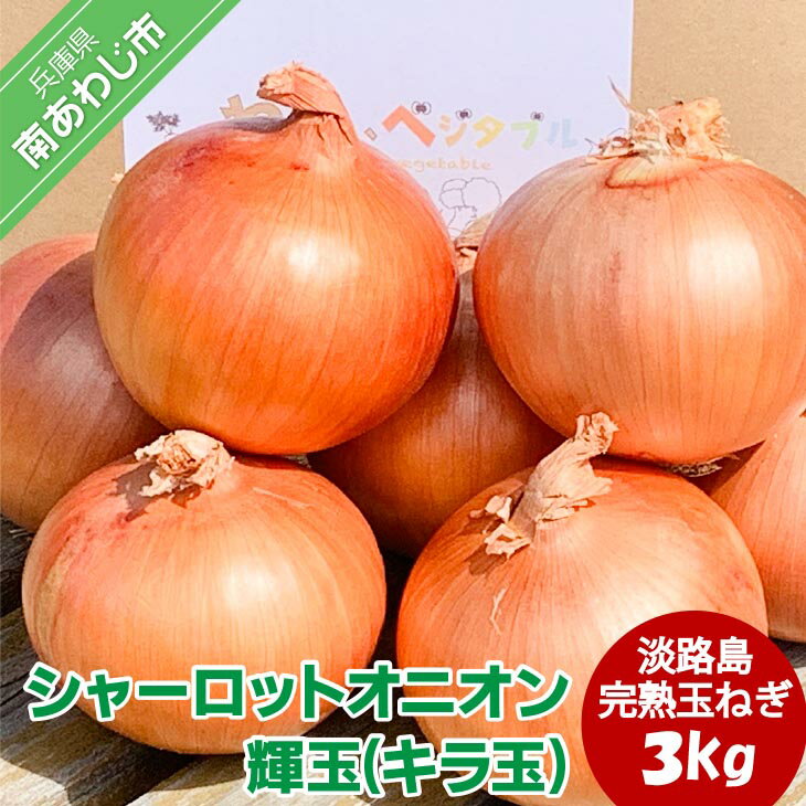 【ふるさと納税】大地の恵み！淡路島の完熟玉ねぎ【シャーロットオニオン 輝玉(キラ玉)】3kg 3000円 たまねぎ 玉ねぎ 玉葱 国産 野菜 オニオン サラダ マリネ スープ ハンバーグ カレー 淡路島 送料無料 お取り寄せ グルメ お買い物マラソン 3000 ポッキリのサムネイル