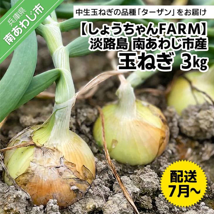 【ふるさと納税】【しょうちゃんFARM】淡路島　南あわじ市産