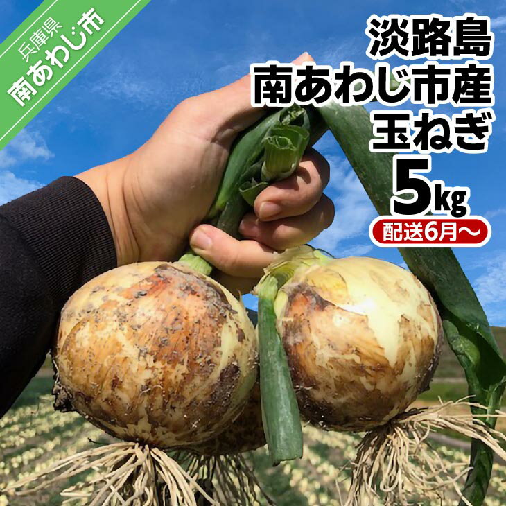 【しょうちゃんFARM】　淡路島　南あわじ市産玉ねぎ 5kg　◆配送6月～