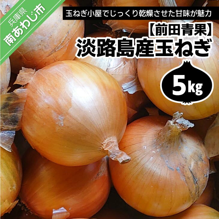 【ふるさと納税】淡路島産玉ねぎ5kg※配送7月中旬～