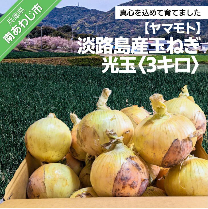 【ふるさと納税】淡路島産玉ねぎ光玉 3キロのサムネイル