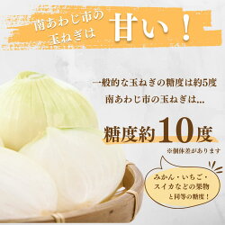 【ふるさと納税】【原田青果】原田兄弟の一番玉ねぎ5kg　◆配送6月～　ふるさと納税 おすすめ 画像2