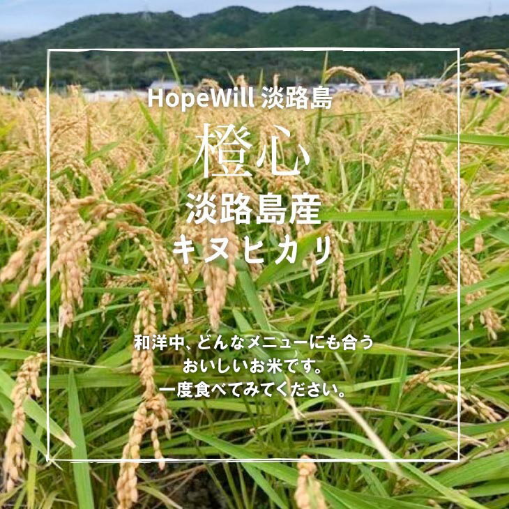 【ふるさと納税】淡路島産新米「橙心(きぬひかり)」　玄米2kg