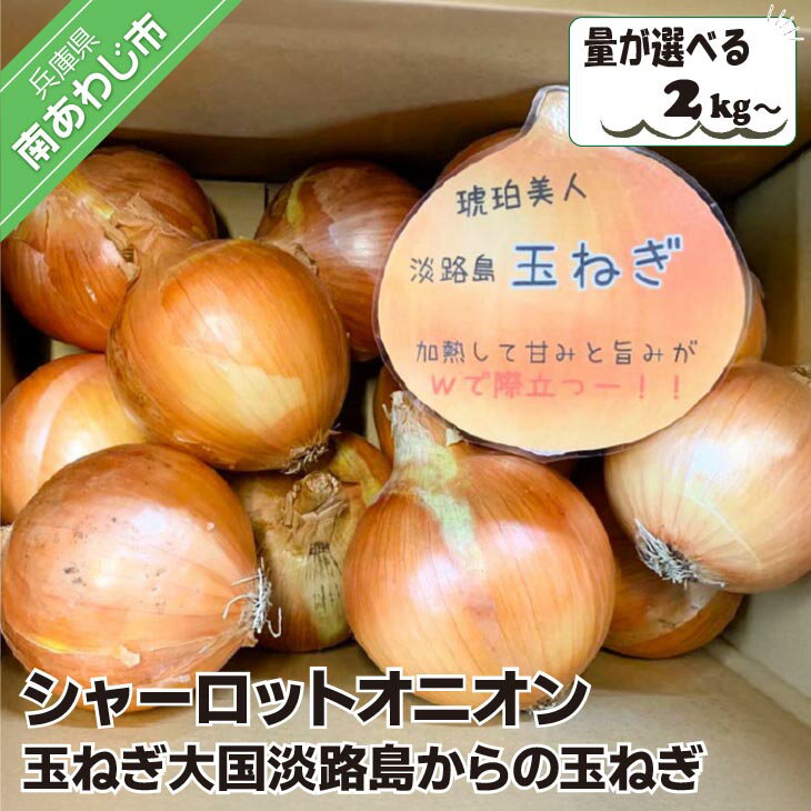 淡路島極熟玉葱 シャーロットオニオン 玉ねぎ大国淡路島からの玉ねぎ[2kg〜]