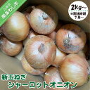 【ふるさと納税】【7月以降発送】新玉ねぎ シャーロットオニオン【選べる 2kg~10kg】◆配送 7月上旬~9月末
