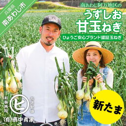 【ふるさと納税】淡路島産新玉ねぎ　うずしお甘玉ねぎ　10kg◆配送2月上旬～6月下旬