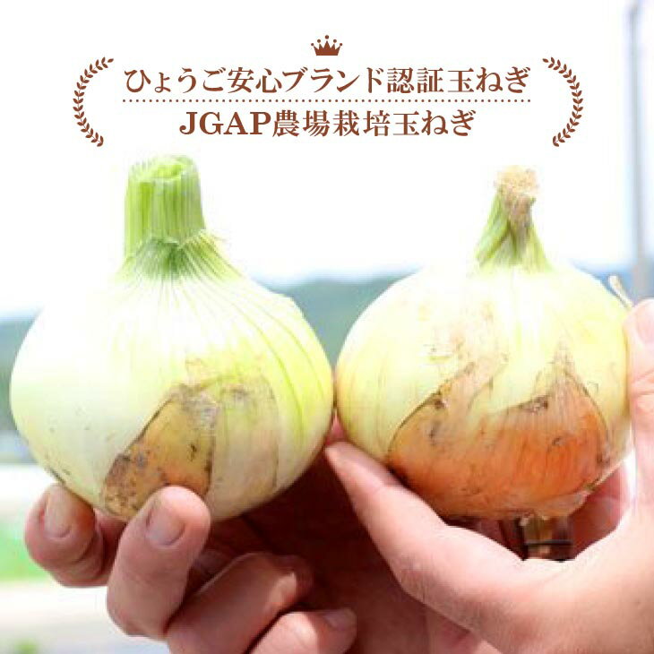 【ふるさと納税】【6ヶ月定期便】「追熟甘玉ねぎ」3kg