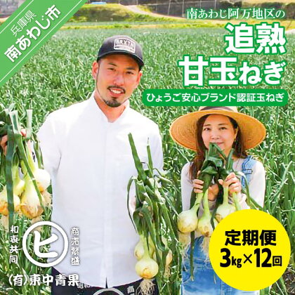 【12ヶ月定期便】「追熟甘玉ねぎ」3kg