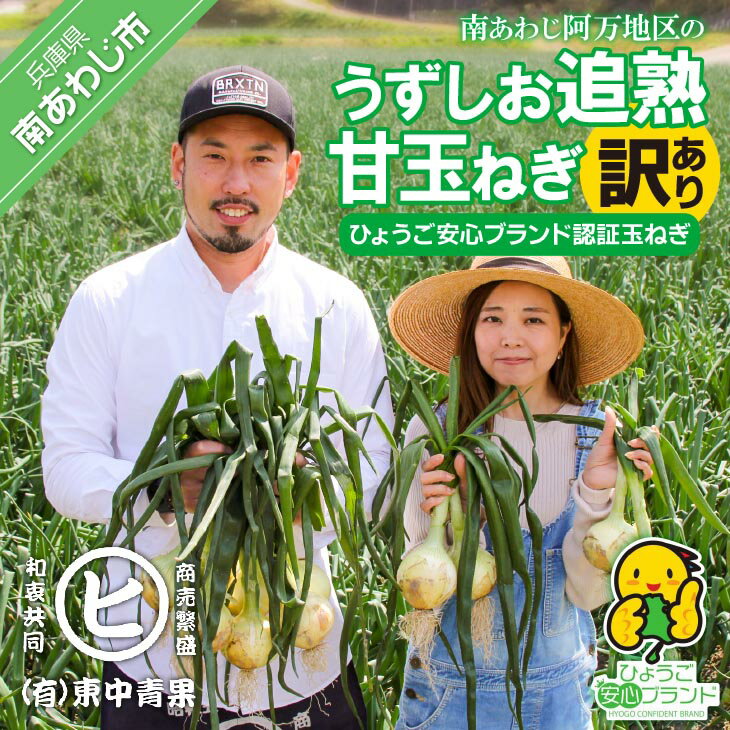 【ふるさと納税】うずしお追熟甘玉ねぎ（訳あり）10kg 9000円 たまねぎ 国産 野菜 オニオン サラダ スープ ハンバーグ カレー 淡路島 淡路 送料無料 お買い物マラソン 9000円